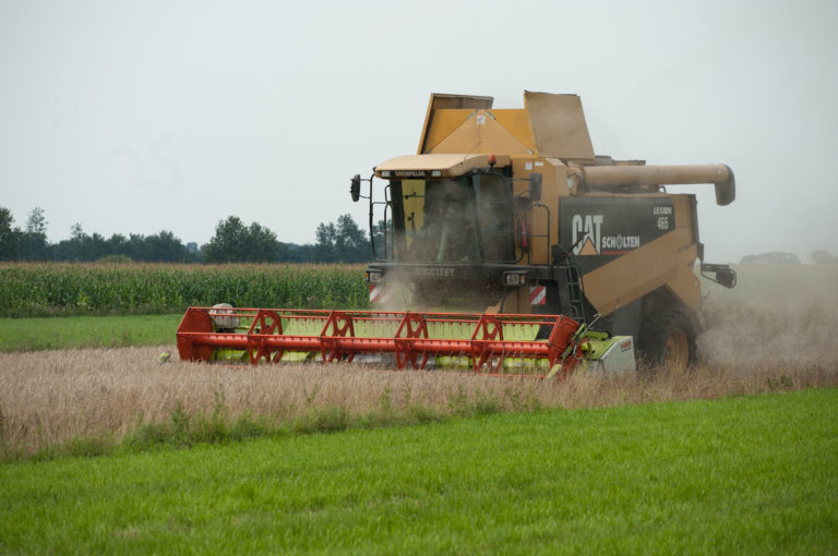 Mähdrescher auf Feld